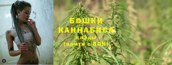 сатива Зеленодольск