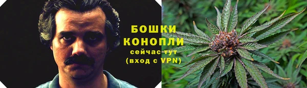 сатива Зеленодольск