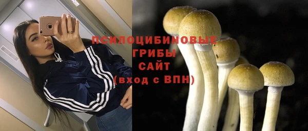 сатива Зеленодольск