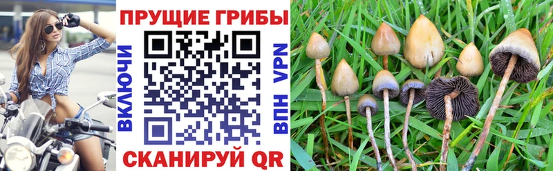 Галлюциногенные грибы мицелий  Купить закладки  Дюртюли 